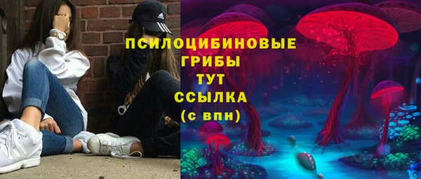 PSILOCYBIN Верея