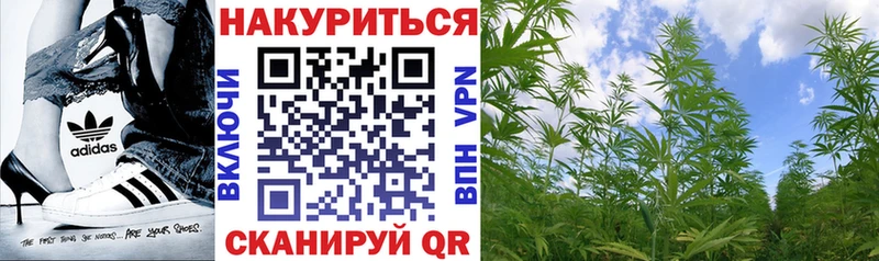 Канабис AK-47  цена наркотик  Новоржев 